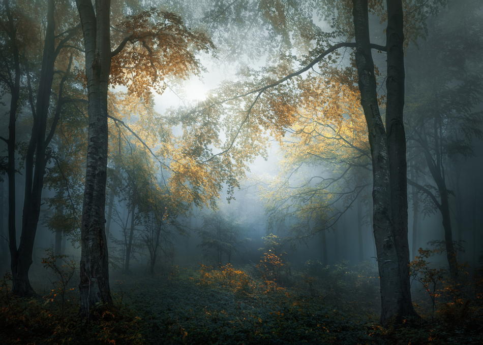 Veselin Atanasov, Bulgaria -Open Landscape Nature 2018