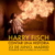 Curso Harry Fisch