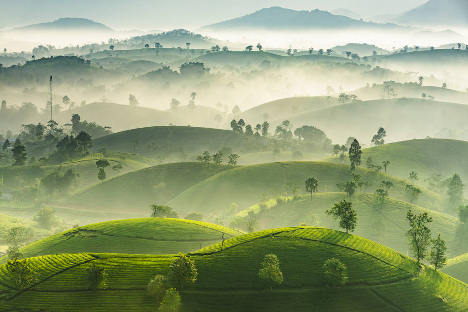 Nguyen PhucThanh, Vietnam, Open Landscape 2019