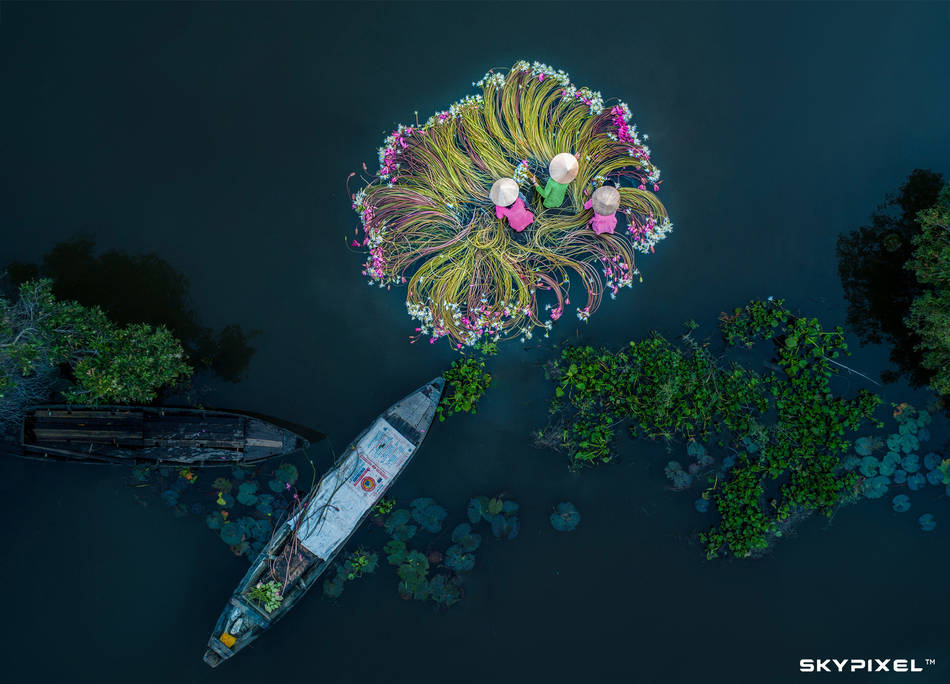 2018 SkyPixel Contest-Photo Group-First Prize-Fun-Flowers on the water