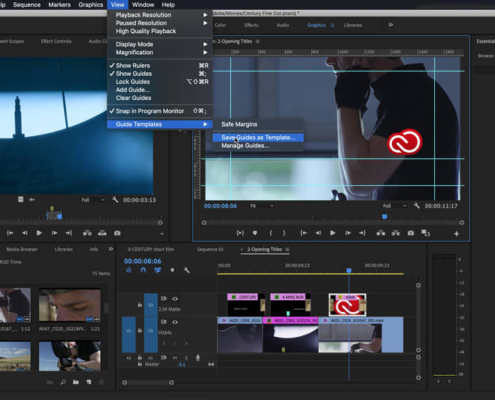 Premiere Pro, reglas y guías