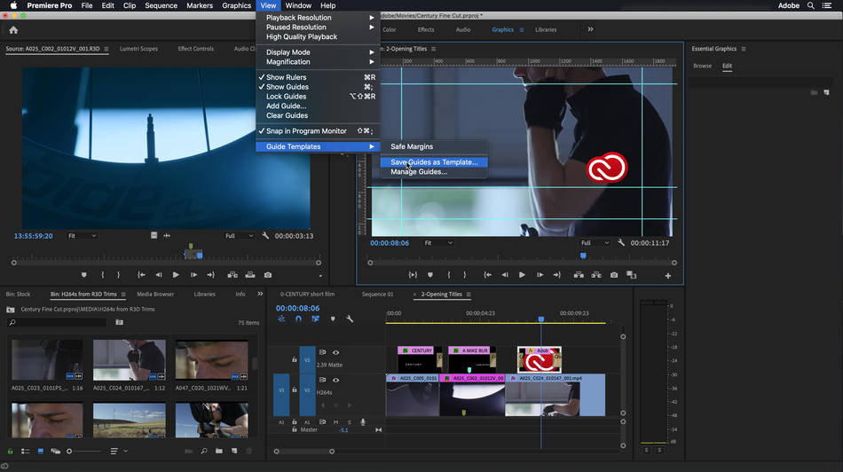 Premiere Pro, reglas y guías