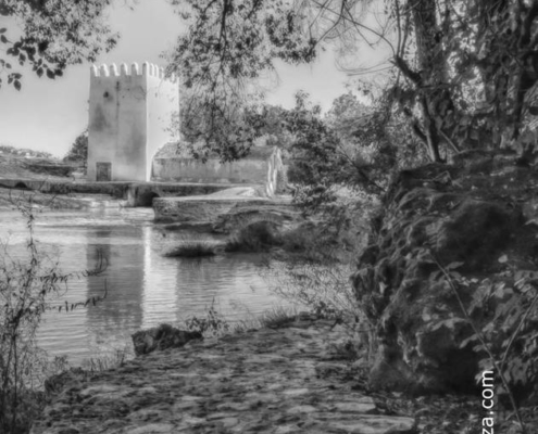 Descubriendo los molinos del Guadaíra