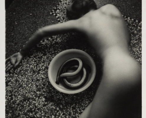 Francesca Woodman, Eel Series