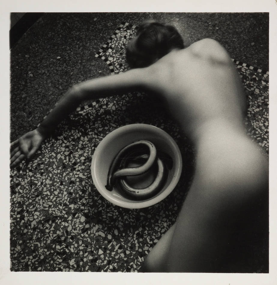 Francesca Woodman, Eel Series