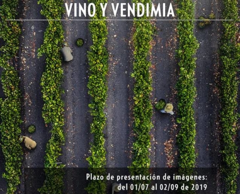 VI certamen de fotografía bodegas Verum