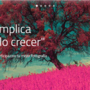 La edad no implica envejecer, solo crecer