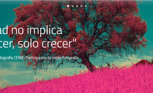 La edad no implica envejecer, solo crecer