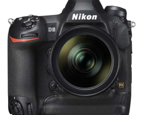 Nikon D6