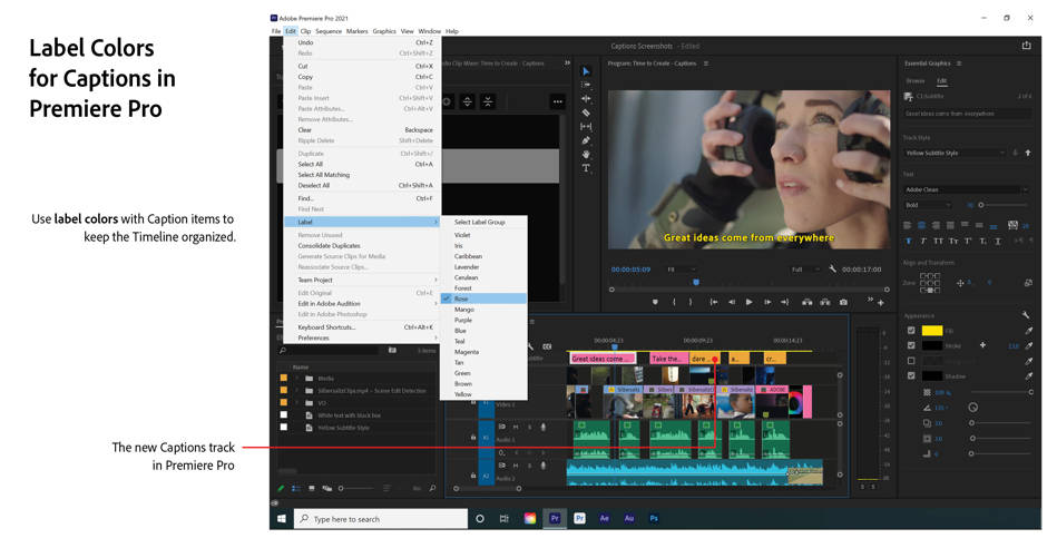 Labels en Premiere Pro