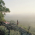 2987_8191_ZedNelson_UnitedKingdom_Professional_WildlifeNature_2025