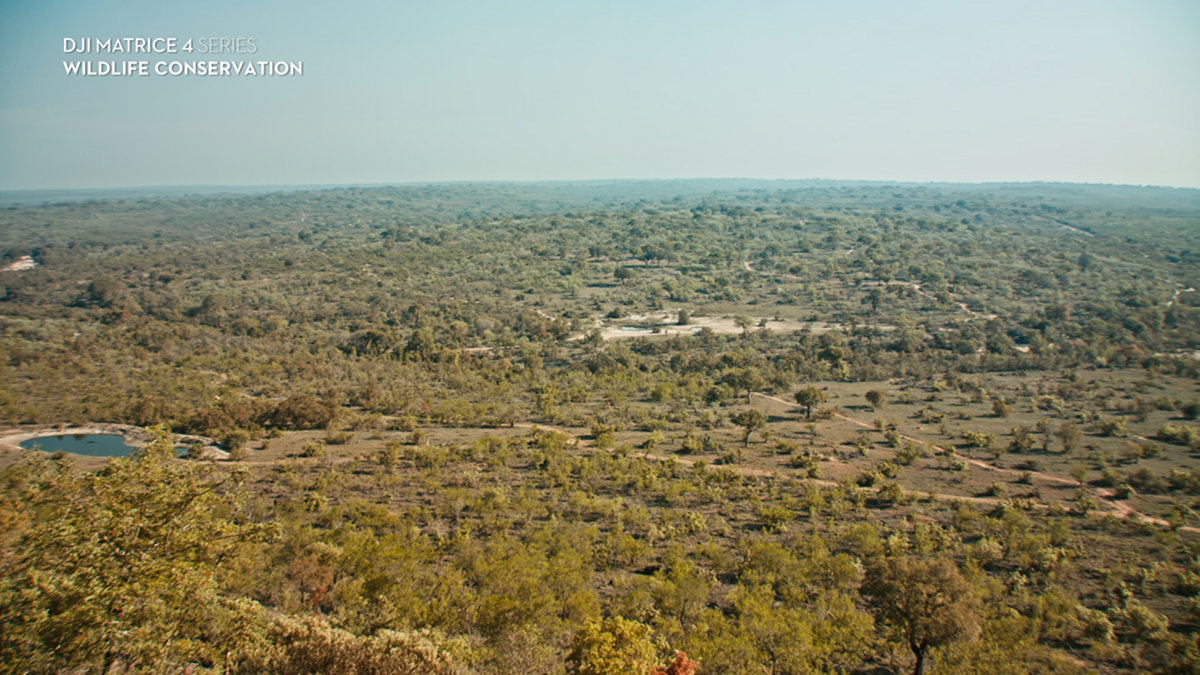 reserva natural sabi sand