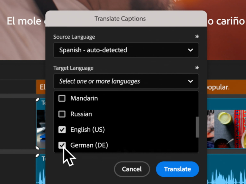 Caption Translation 2