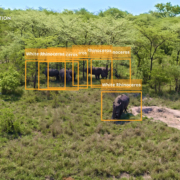 Intelligent Operation