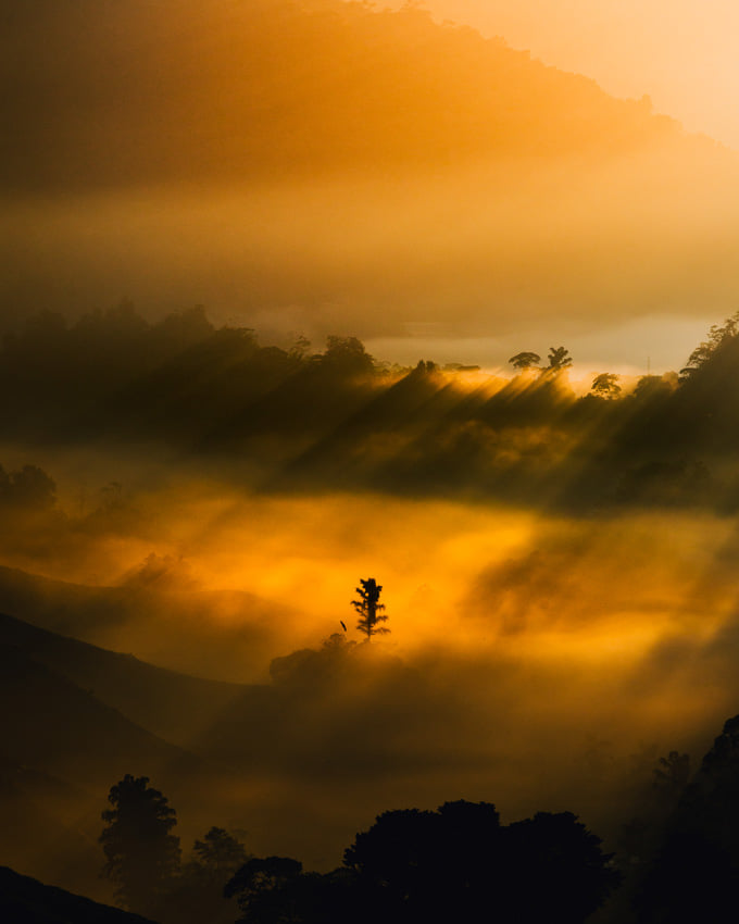 © Landon Chong Chung Yi, Malaysia, Shortlist, Youth Competition, Sony World Photography Awards 2025