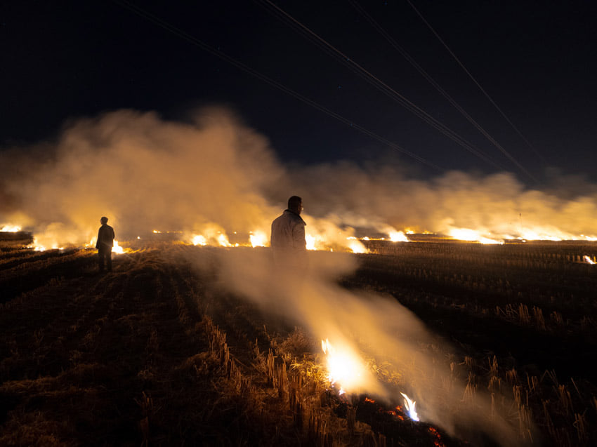 © Xingyu Fan, China Mainland, Shortlist, Student Competition, Sony World Photography Awards 2025